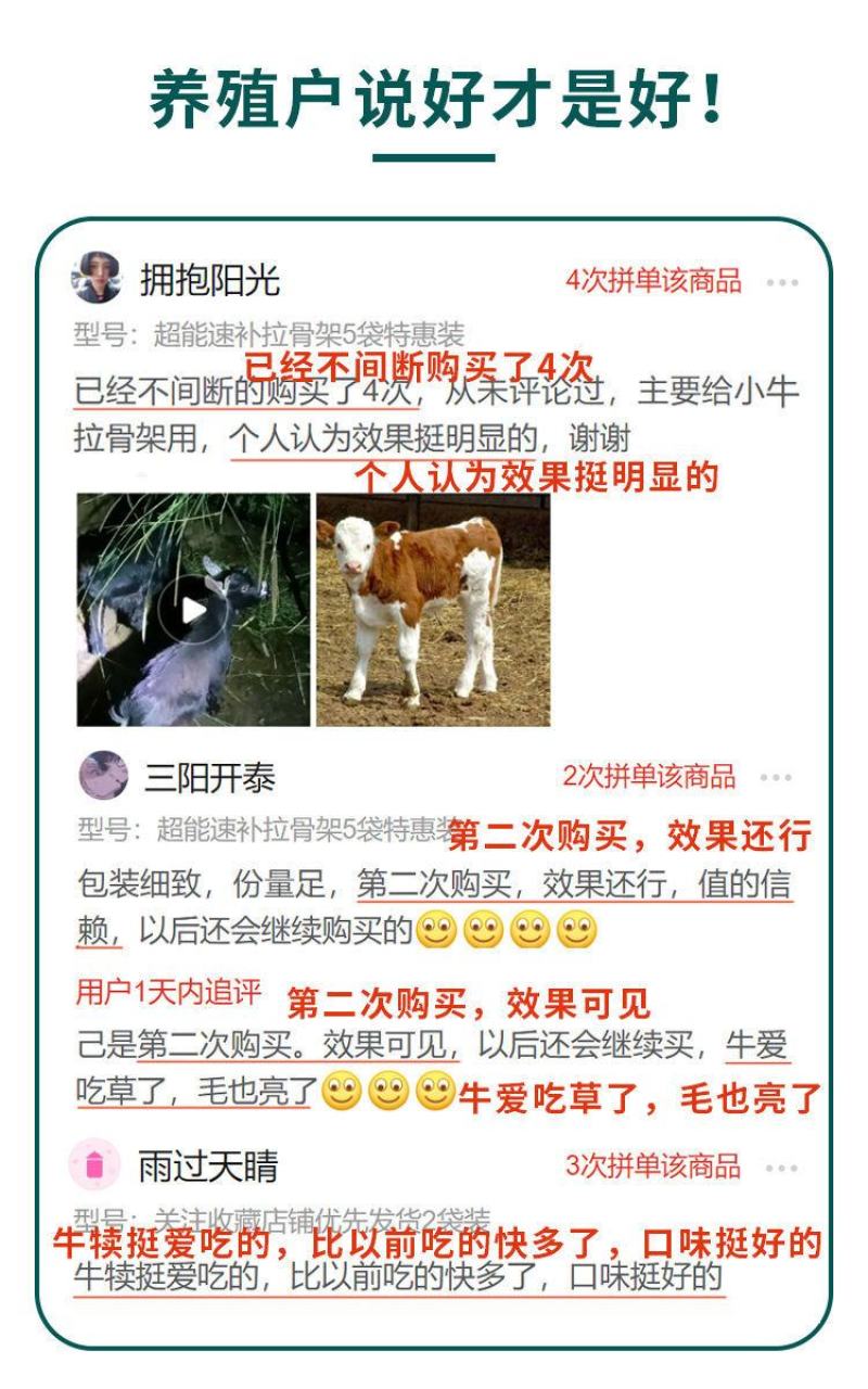 犊牛快长牛羊拉骨架饲料添加剂兽用牛羊拉骨生长王小牛犊拉骨