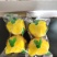 四川安岳黄柠檬双胞胎尤力克皮薄汁多酸爽冷饮奶茶孝素用水果