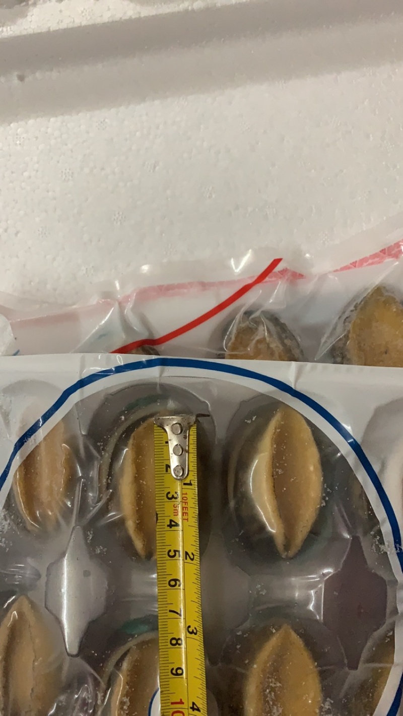 新鲜冷冻鲍鱼去齿去内脏大鲍鱼8-15头