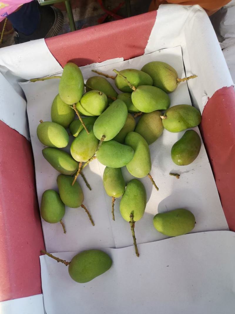 云南精品台农芒果，产地直采直销，货源稳定供应