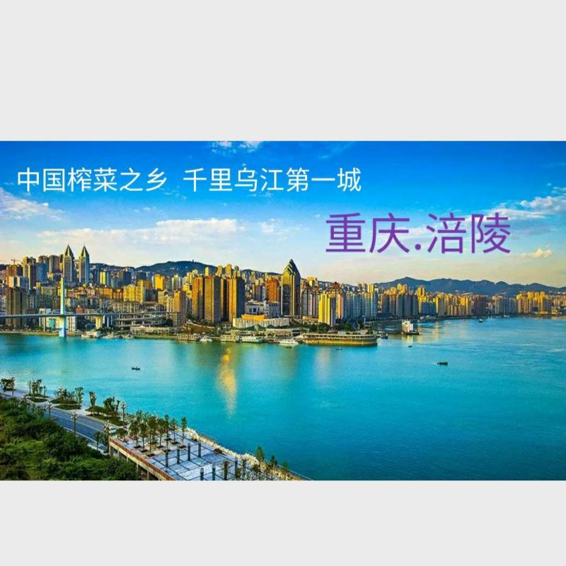 涪陵榨菜，只做批发，涪陵发货，原形原汁原味5～9斤装