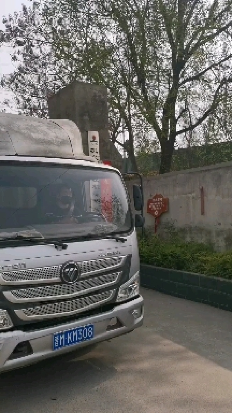 榨油机丶精炼机，自动温控，条排设计，冒渣少压力大出油率髙