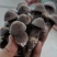 【牛商推荐】黑皮鸡枞菌包常年钻研包教会种植技术