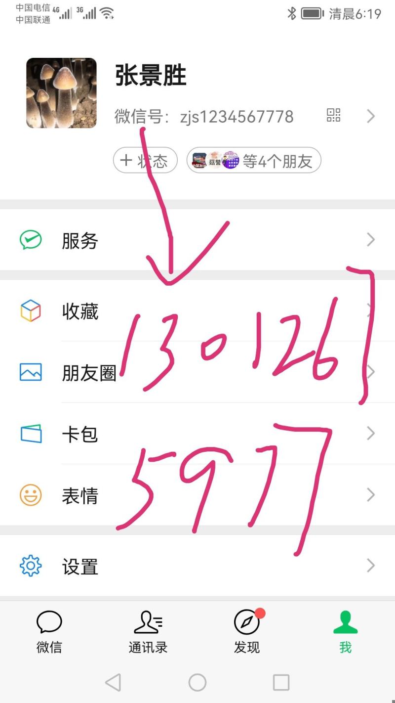 【牛商推荐】黑皮鸡枞菌包常年钻研包教会种植技术