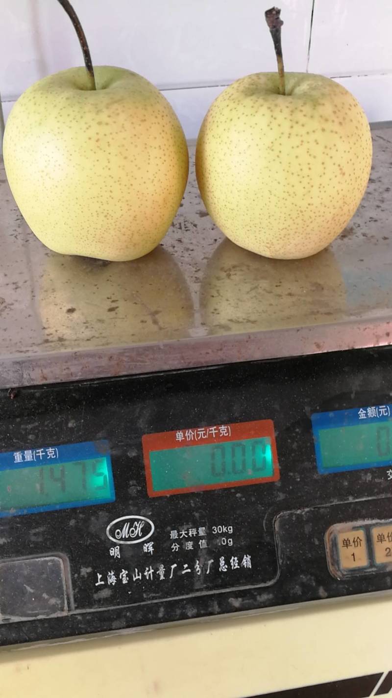 皇冠梨