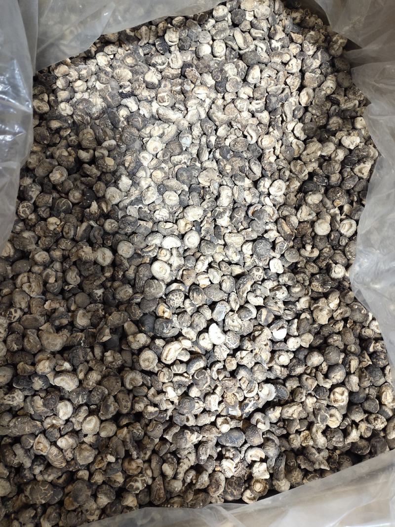 随州产地直供黑面冬茶花菇丁1.9至2.2