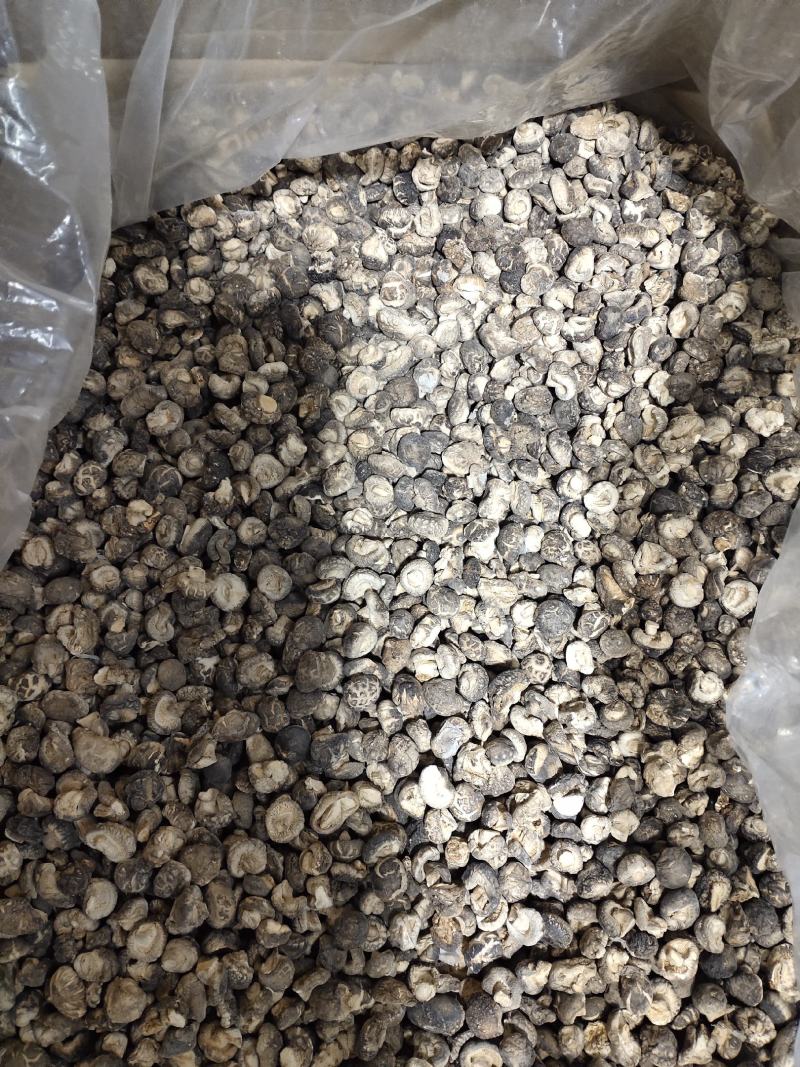 随州产地直供黑面冬茶花菇丁1.9至2.2