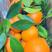 【夏橙】秭归橙子电商果市场商超地摊价钱实惠水份充足代发