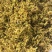 2025年鼓槌石斛花，铁皮石斛花现货批发