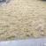 贵州水苔！海花草
