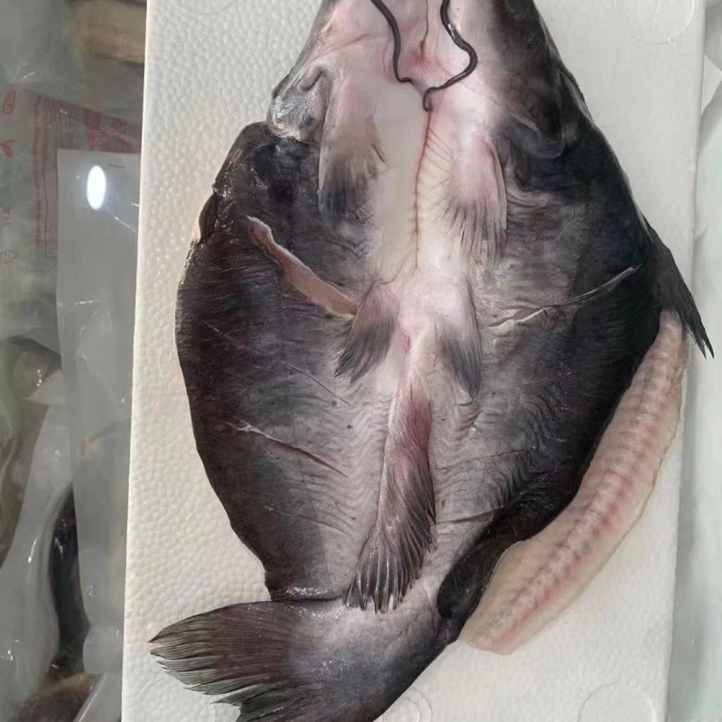 开背清江渔，现货现货