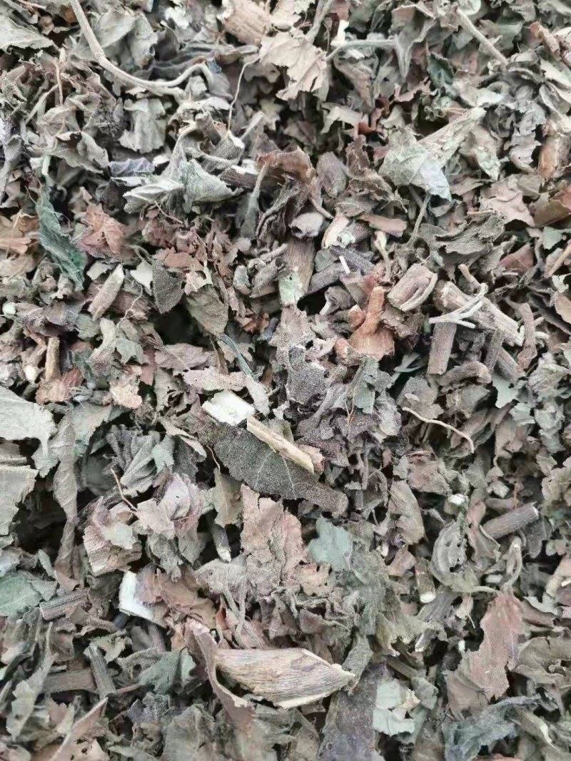 （产地直销）广藿香批发各种规格切片干品中药材原材
