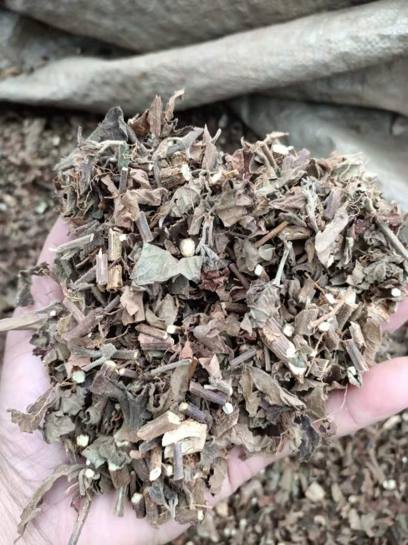 （产地直销）广藿香批发各种规格切片干品中药材原材