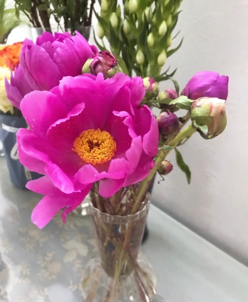芍药鲜切花一扎10支鲜花芍药花批发一件代发冷链包邮