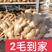 河南生姜产地，品种齐全，一手货源，每天量达30万斤
