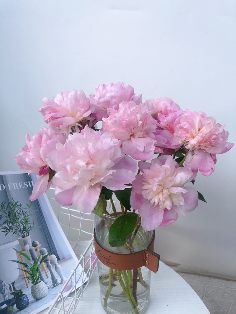 重瓣芍药一扎10支白色粉色芍药鲜切花批发一件代发包邮