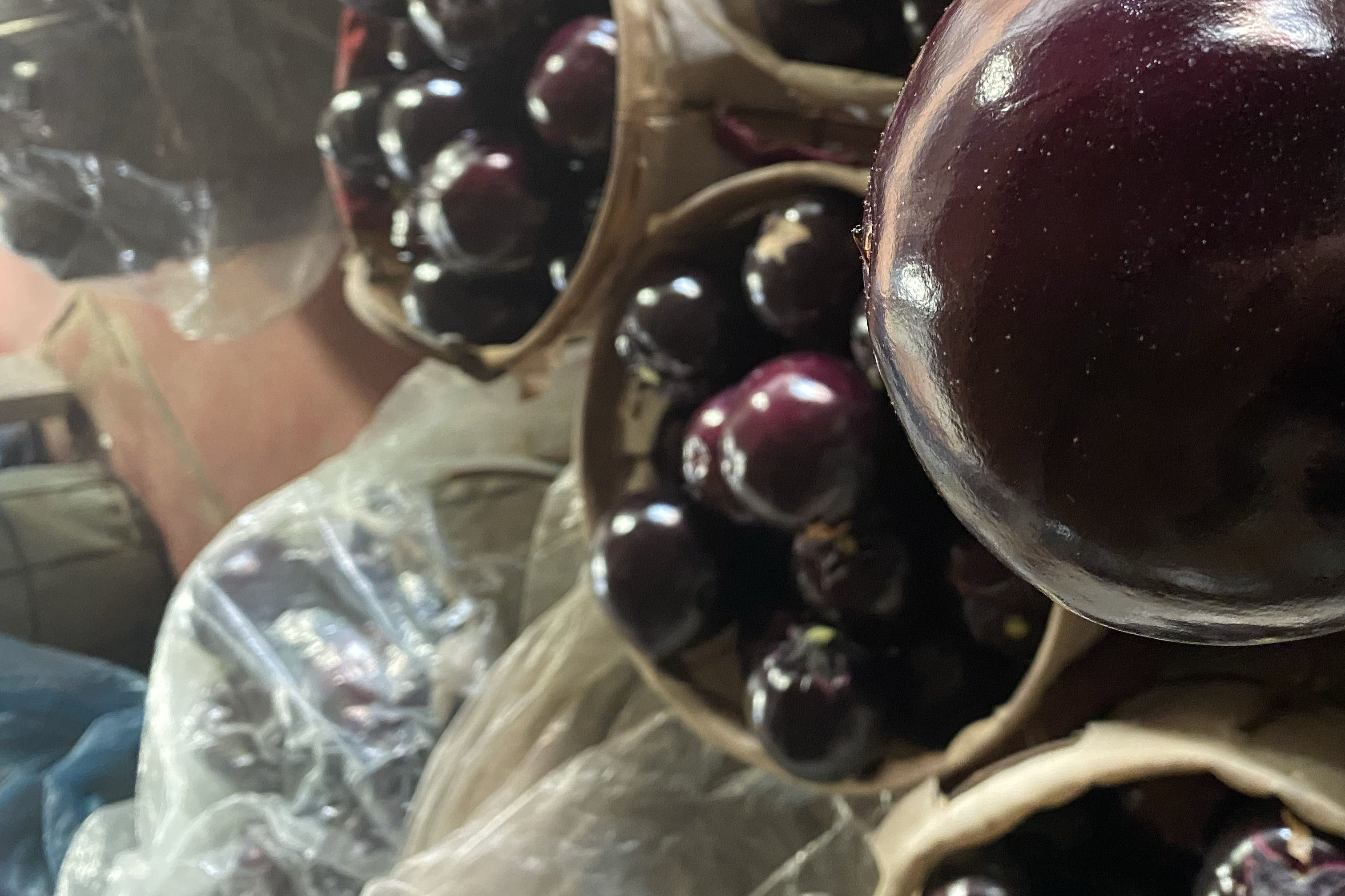 绿皮圆茄子特写图