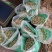 药用菊花批发各种中药材无硫***价格优惠