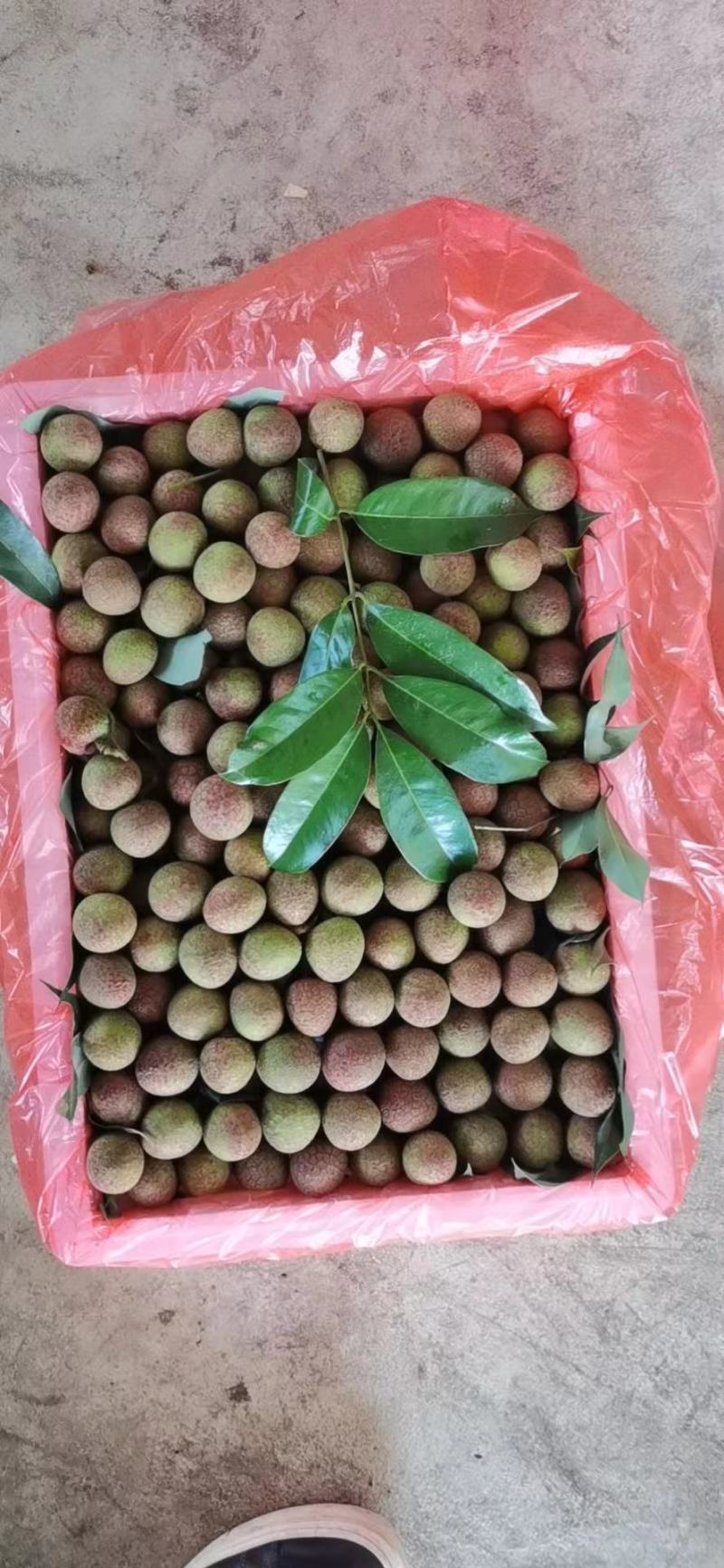 荔枝