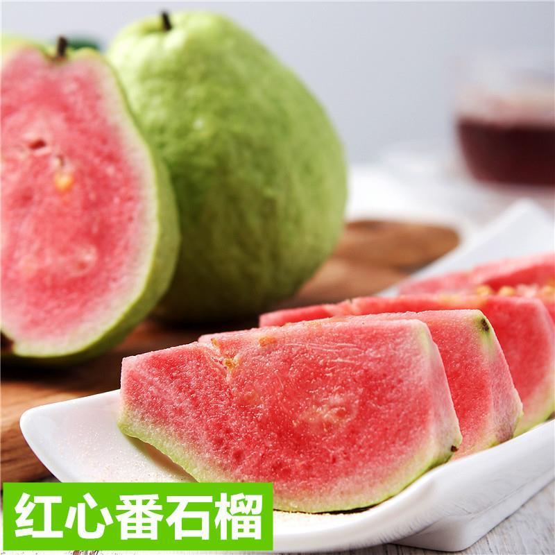 番石榴苗芭乐树苗台湾珍珠番石榴白心红心嫁接苗四季当年带土