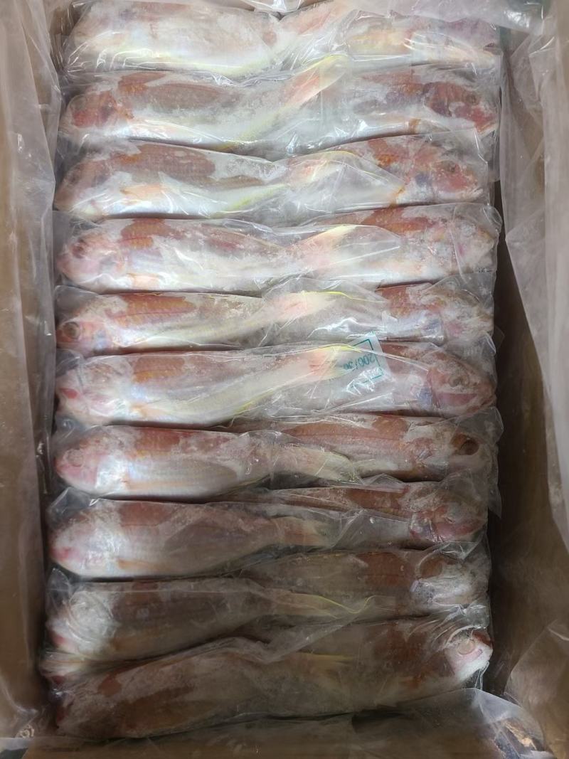 黄肚三，单k.红三鱼大量批发，电商饭堂社区团购批发商