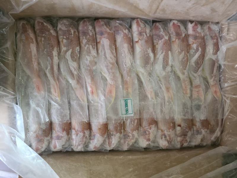 黄肚三，单k.红三鱼大量批发，电商饭堂社区团购批发商