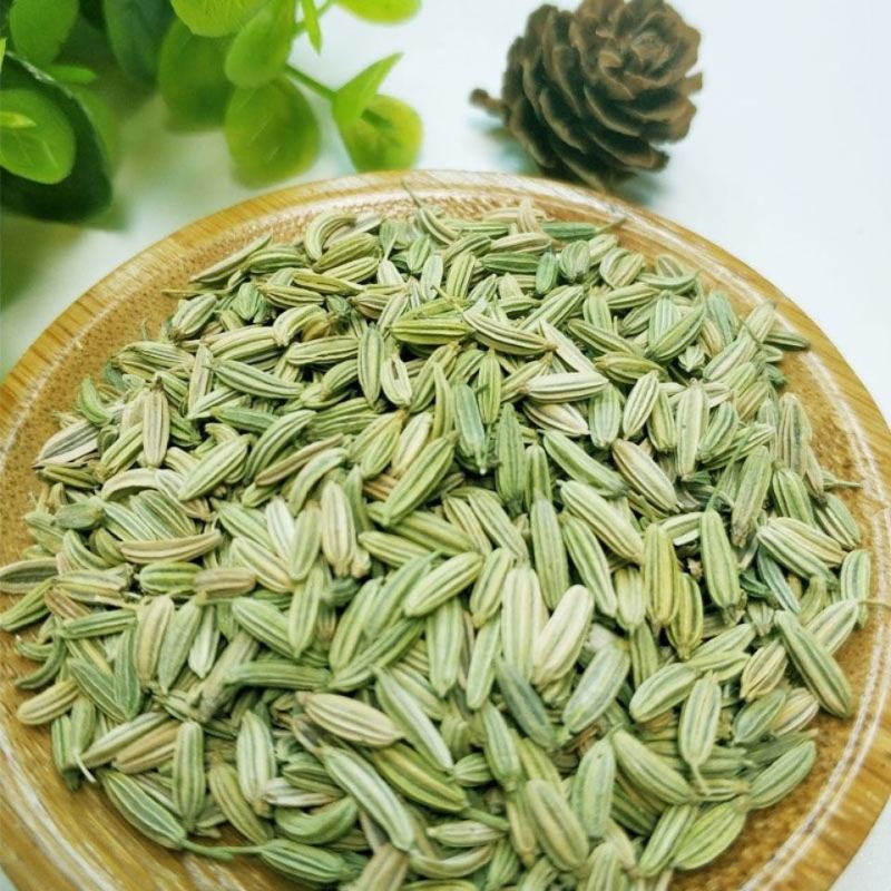 大红八角树种子八角籽大茴香树种籽调料大料大八角八角树种籽