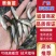 长江抗病毒草鱼长江草鱼苗，诚信经营质量保证欢迎来电