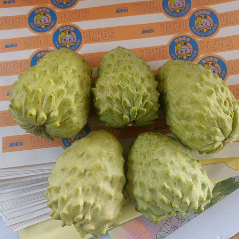 凤梨释迦果
