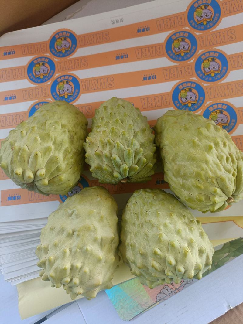 凤梨释迦果
