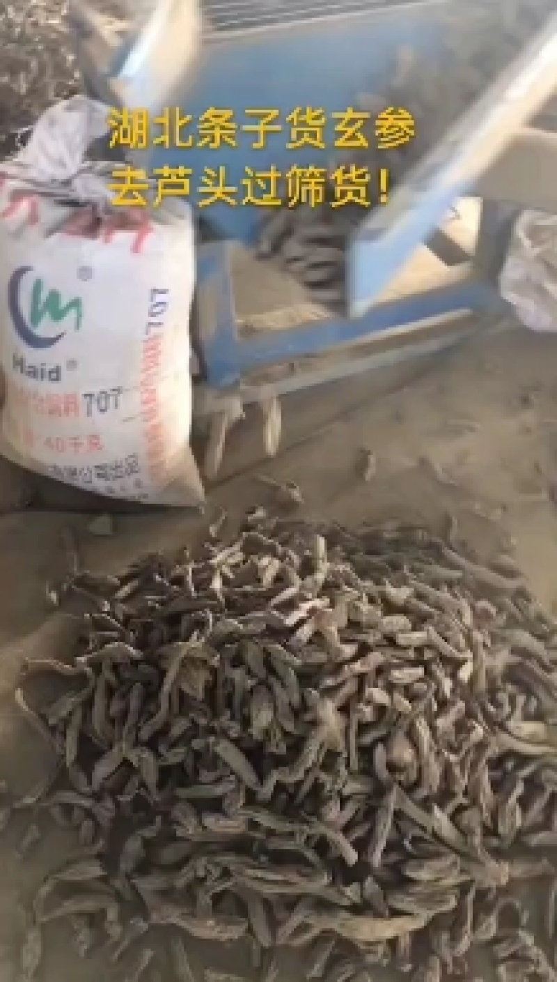 湖北省蕲春百草道地中药材专业高含量去芦头条子货大统玄参