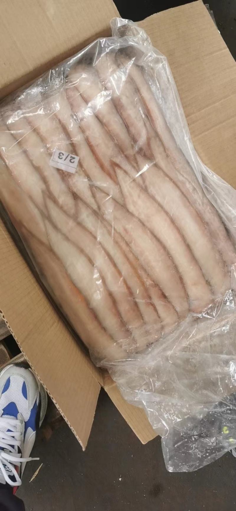 红边龙舌鱼，还有黑边龙舌鱼。适合加工厂，电商批发商社区