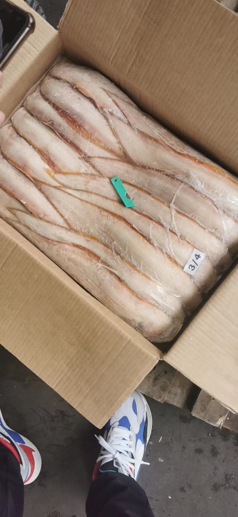 红边龙舌鱼，还有黑边龙舌鱼。适合加工厂，电商批发商社区