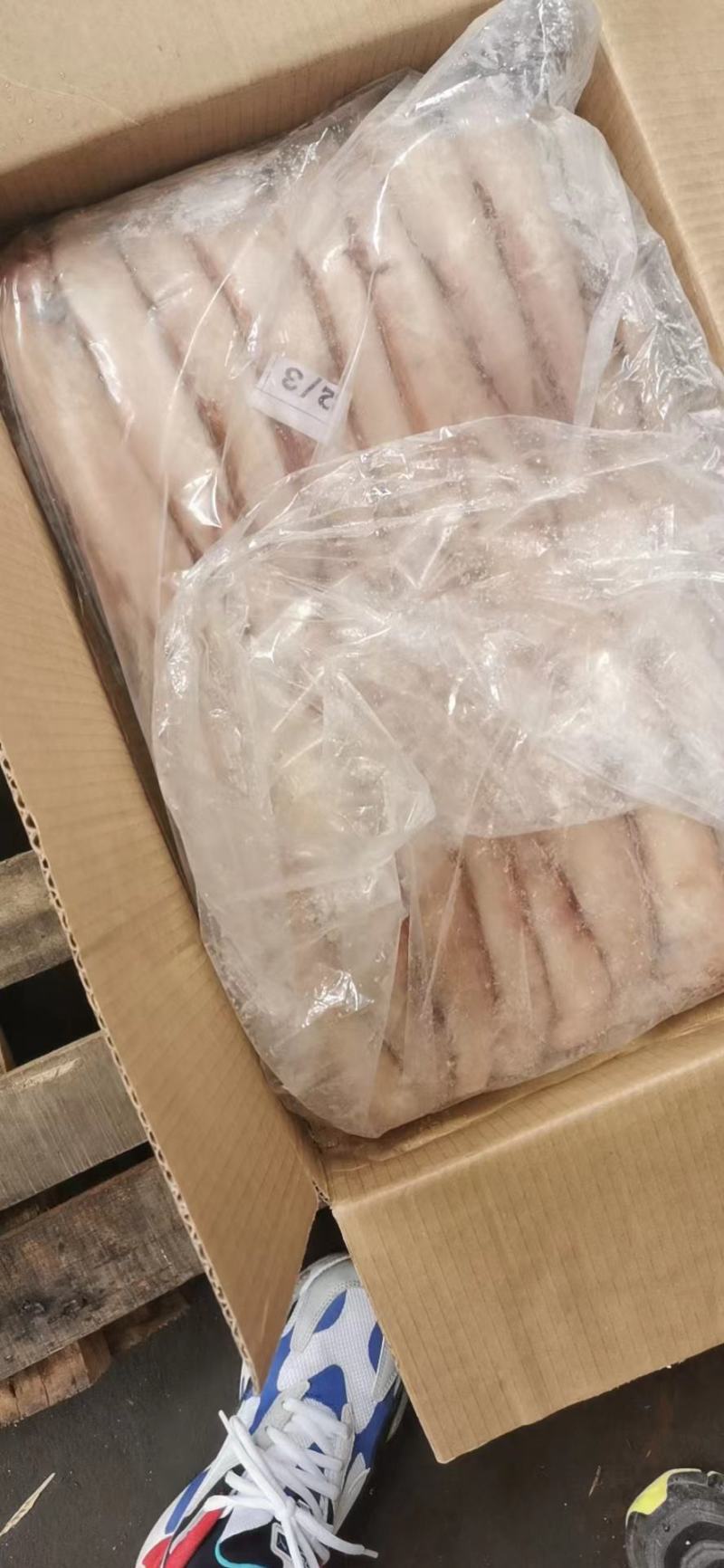 红边龙舌鱼，还有黑边龙舌鱼。适合加工厂，电商批发商社区