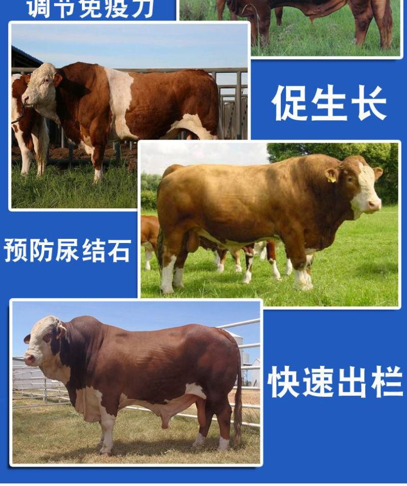 牛专用催肥素牛催肥宝维生素促生长催肥牛羊催肥疯长王疯长素