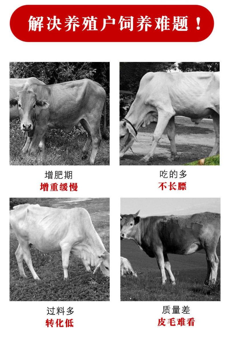牛专用催肥素牛催肥宝维生素促生长催肥牛羊催肥疯长王疯长素