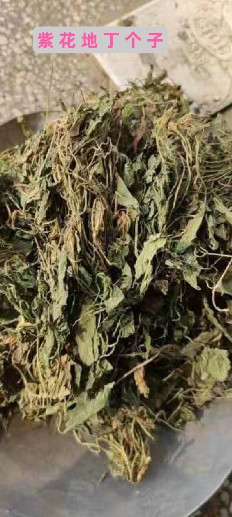紫花地丁草中药材紫花地丁个紫花地丁切都有