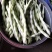 精品芸豆大量上市欢迎新老朋友的再次合作