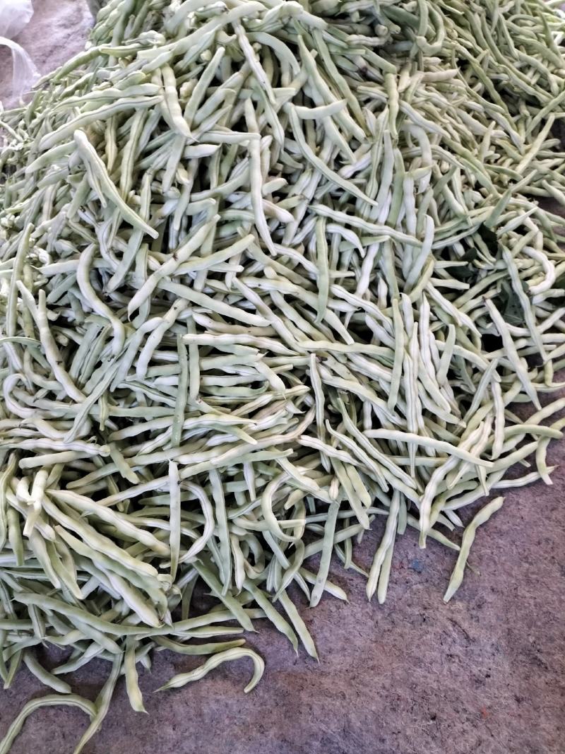 精品芸豆大量上市欢迎新老朋友的再次合作