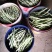 精品芸豆大量上市欢迎新老朋友的再次合作