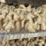 河北生姜玉黄大姜，大量现货量大从优欢迎来电洽谈合作
