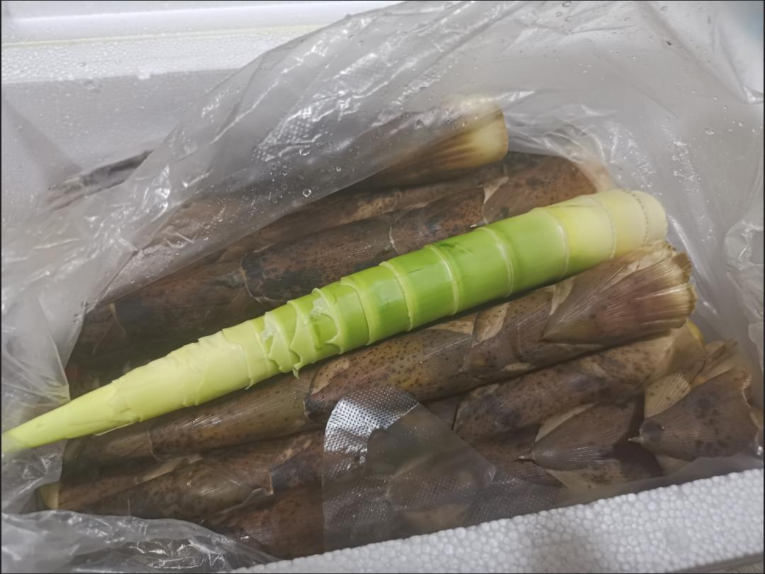 健康时令蔬菜推荐