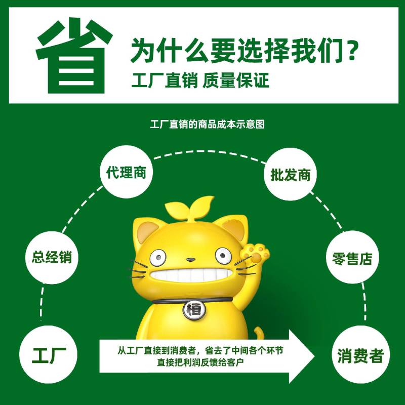 80%代森锰锌杀菌剂农药沙皮叶斑霜霉锈水果树蔬菜花卉