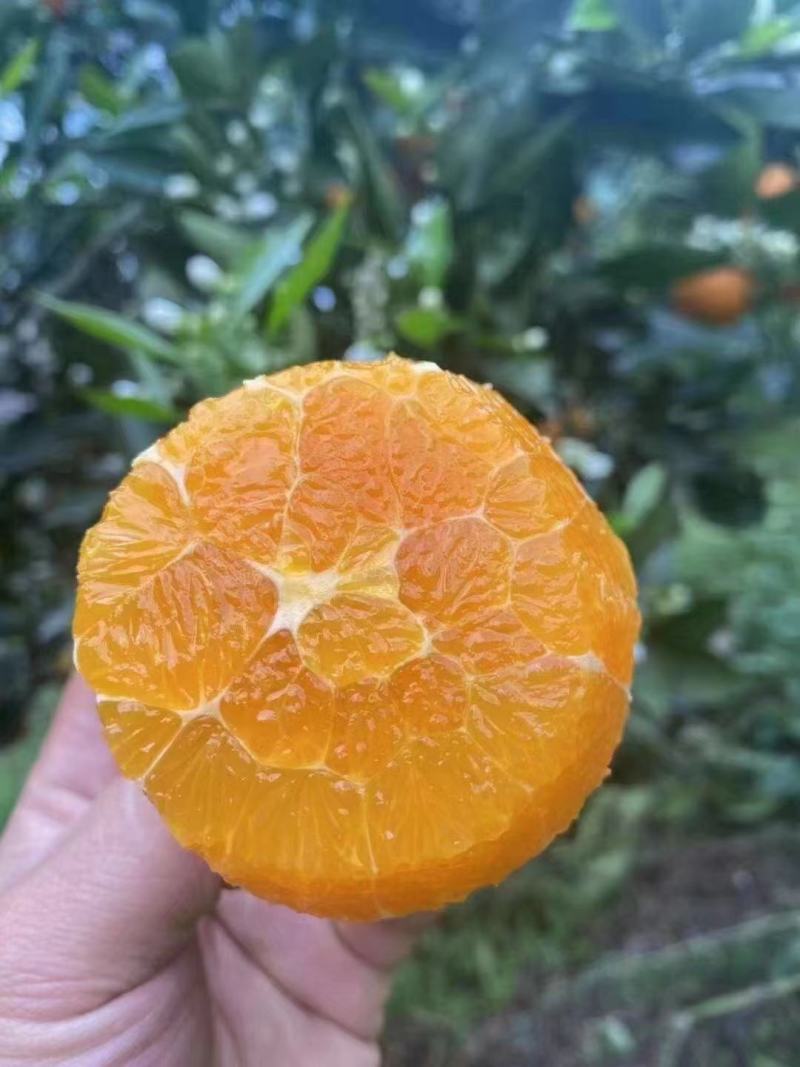 赣南脐橙品种多，水份充足口感好，产地大量供应！随行就市！