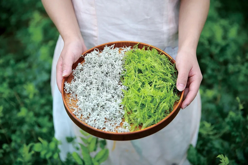 高山莓茶
