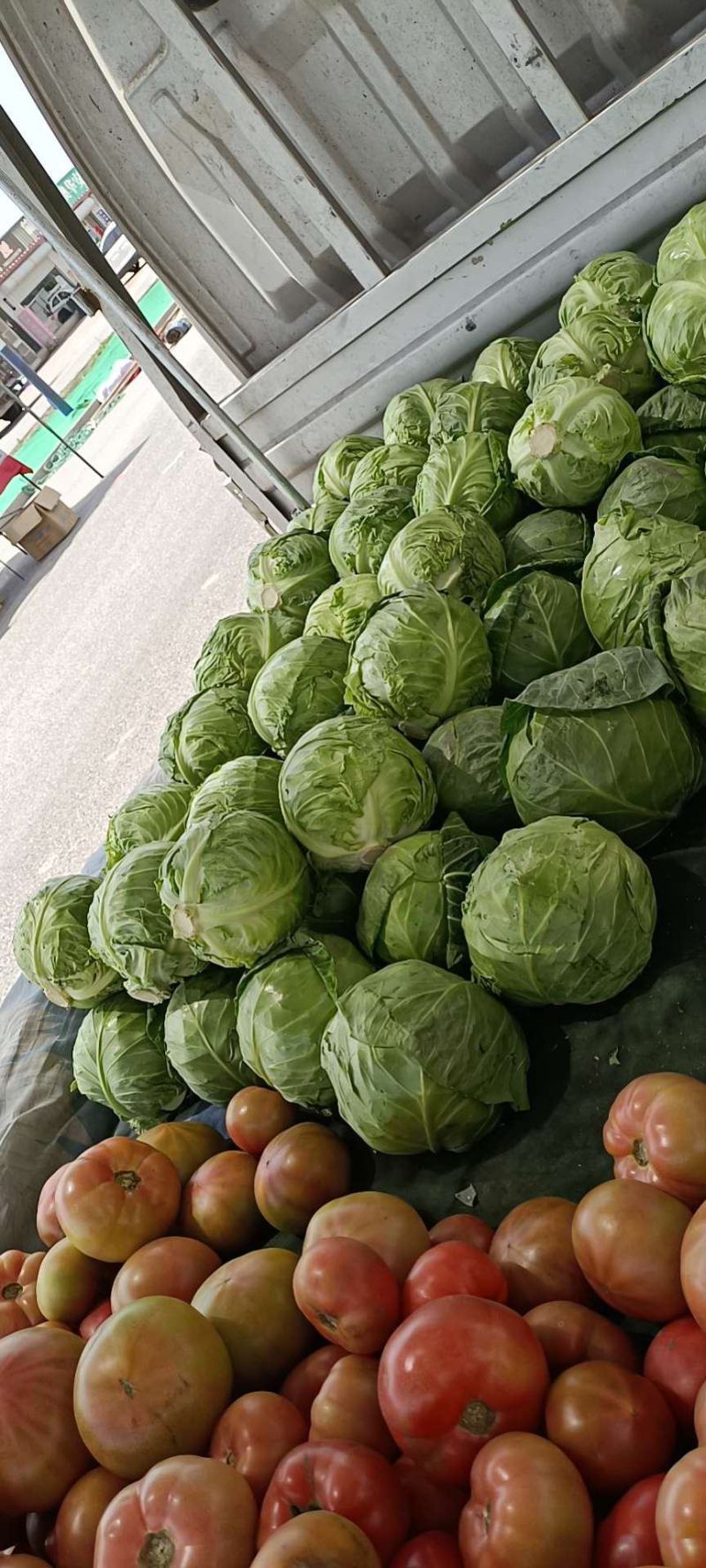 精品橄榄大量上市一手货源