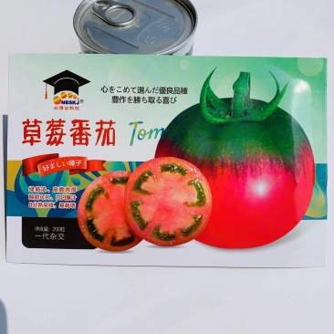 农博士草莓番茄种子口感型草莓柿子种子酸甜可口抗病强