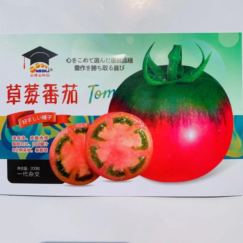 农博士草莓番茄种子口感型草莓柿子种子酸甜可口抗病强