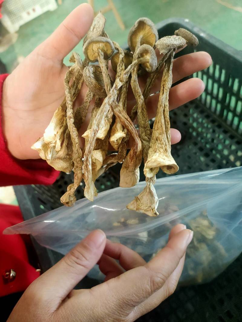 随州香菇。房县黑木耳，黄花菜。食用菌干货。