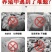 羊催肥羊用催长素促生长牛羊增肥羊微量元素羊用料精喂牛羊肌